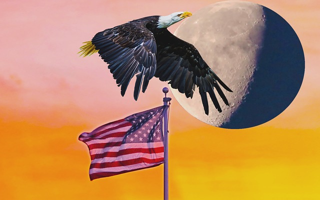 eagle flying over american flag with full moon in background; orange sky